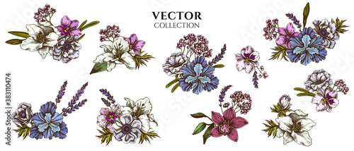 Flower bouquet of colored anemone, lavender, rosemary everlasting, phalaenopsis, lily, iris