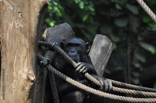 Im Zoo