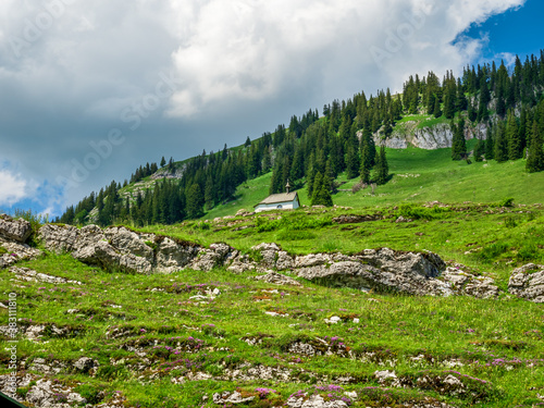 Austrian mountain landscape with blue sky background and a small shed photo