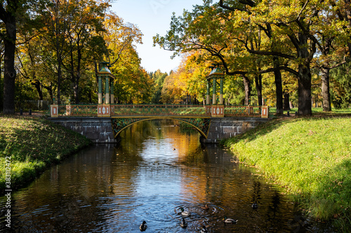 Small Chinese bridges in Saint Petesburg,Tsarskoe Selo, Russia. Golden autumn in the park.