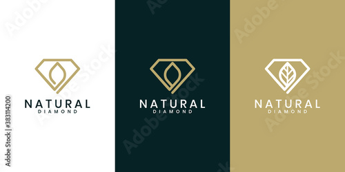 nature diamond Logo Design Vector Illustration