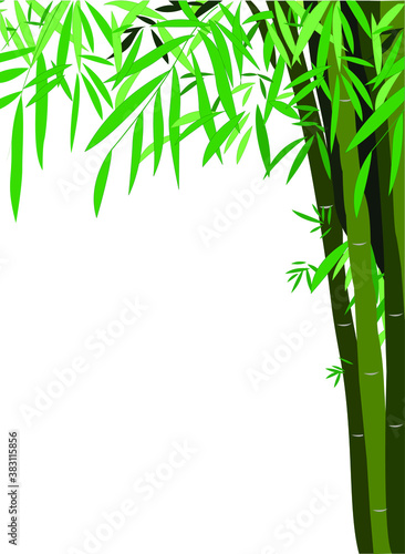 Green background. Season tree with green leaves