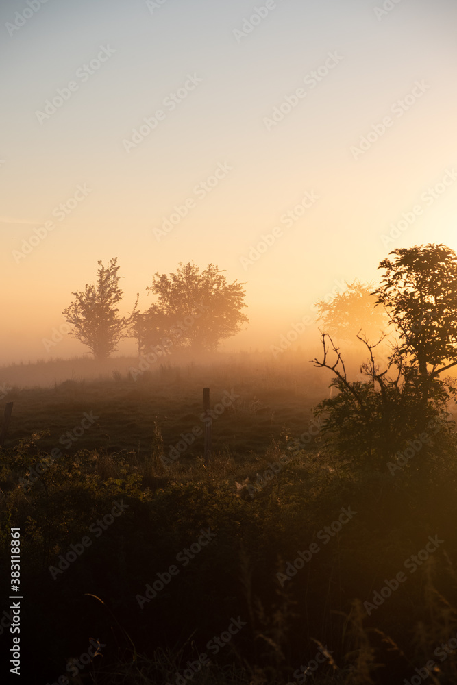 Naklejka premium sunrise over the meadow