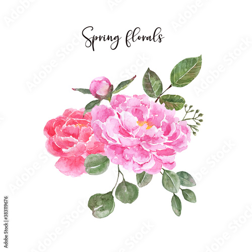 Beautiful watercolor peony bouquet, hand painted botanical illustration. Pret...