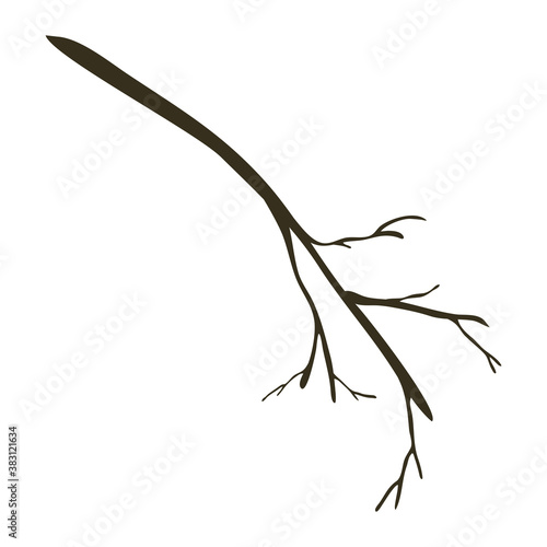 Silhouette of dry autumn seasonal elegant branch leaf