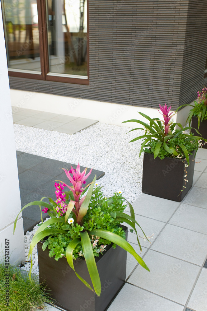 Obraz premium 園芸