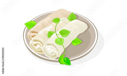 Asian spring rolls served with greenery on plate. Rolled appetizers with cabbage, carrot, other vegetables or meat fillings inside thinly wrapped cylindrical pastry. Vector isolated on white.
