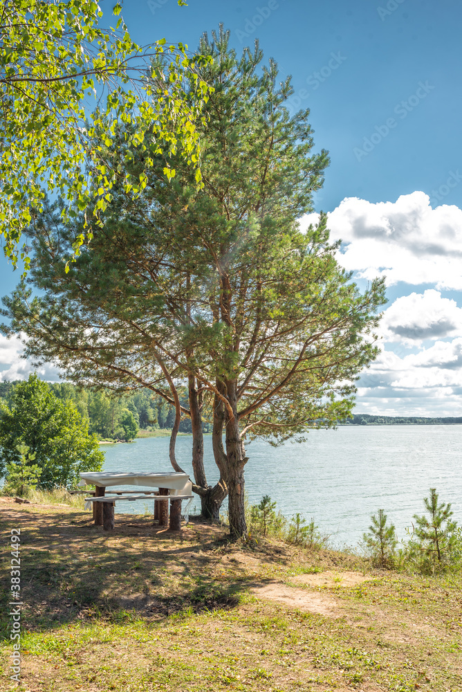 Landscape by the lake in the forest with a wooden table/Lake in the forest with a picnic table. On a sunny day.