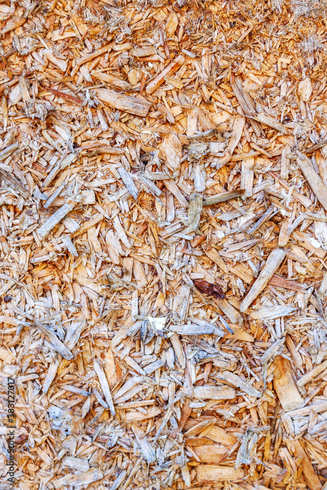 Chipboard with a clear chip structure. Creative background for your design Chipboard with a clear chip structure. Creative background for your design