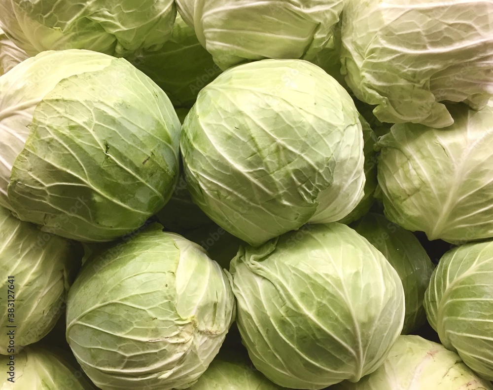 cabbage heads cabbage heads