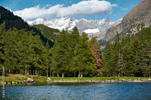 lake framed by trees in the alps against the backdrop of mountains with glaciers