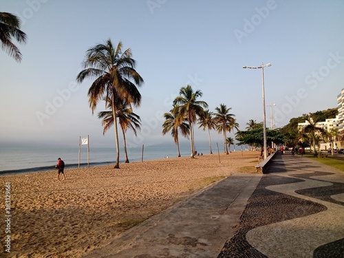 trees on the beach