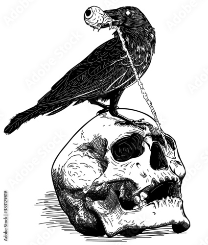 Standing Crow Skull