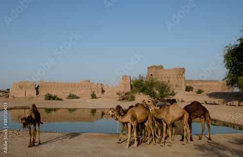 moujgarh or moj garh fort in cholistan desrt in Bahawalpur , punjab, Pakistan  photo