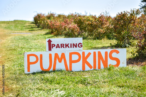 Parking sign outside of a pumpkin patch at a farm in Markham, Virginia. Concept for agritourism and pumpkin picking in Autumn.