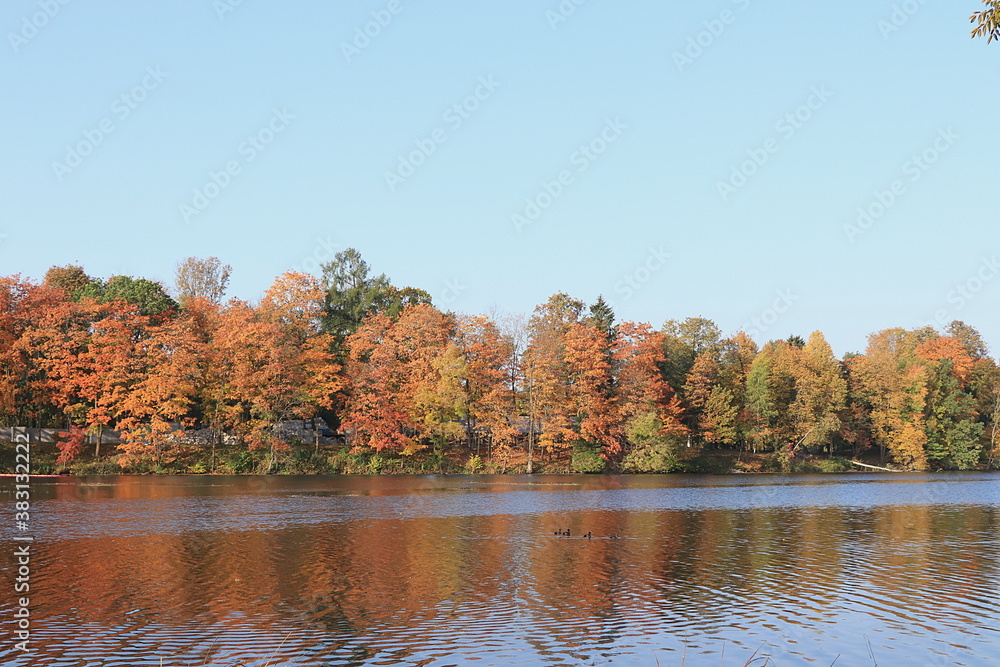 October autumn park in Russia, lake with red leaves and reflection in the lake, Aleksandrovsky park, Tsarskoe Selo, Leningrad region. Autumn landscape, seasons.