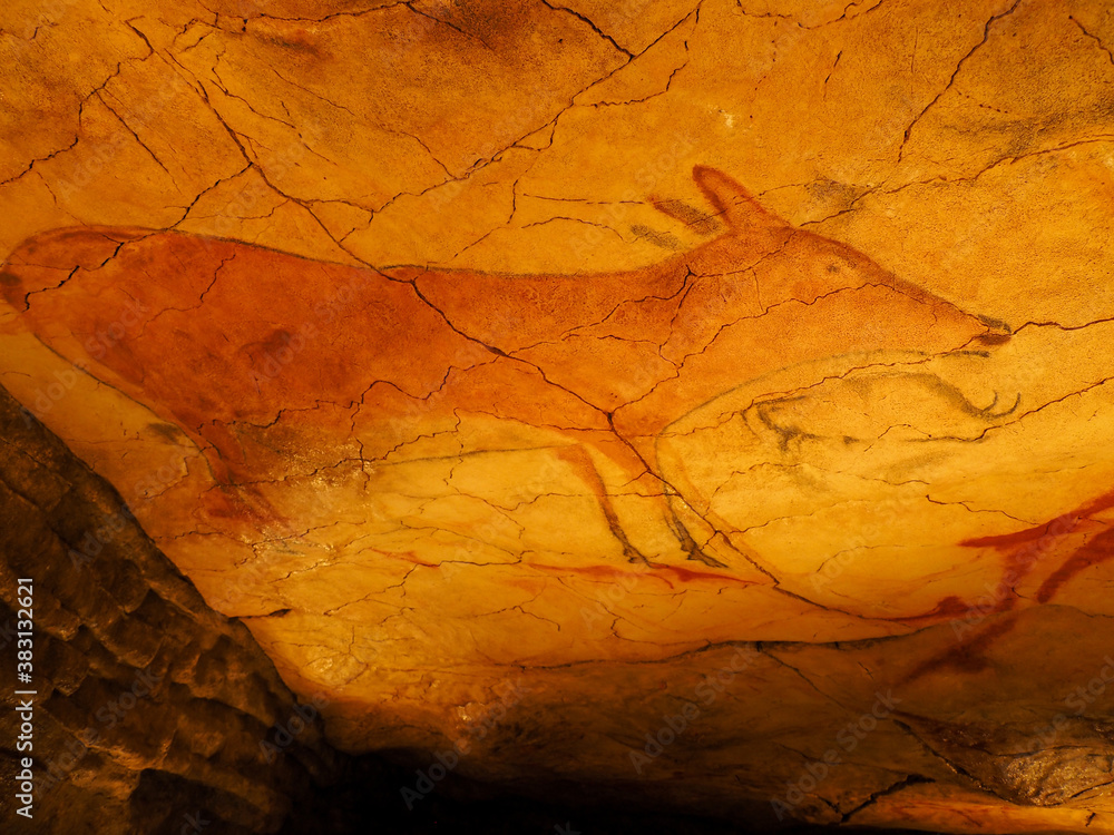 Fototapeta premium Fawn new altamira cave