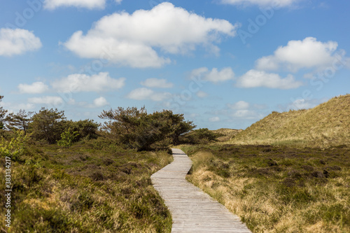 Amrum