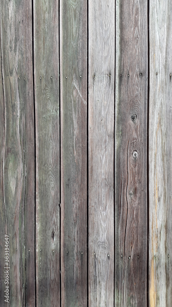 Naklejka premium Old gray boards. A panel made of old weathered sedges. Wooden vintage background