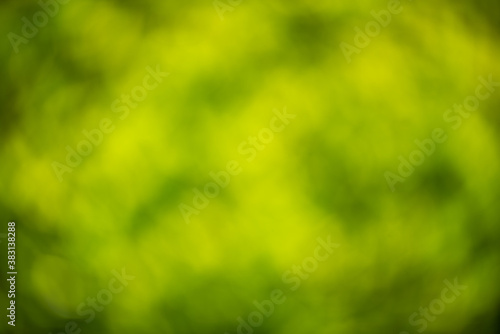 Blur abstract green background
