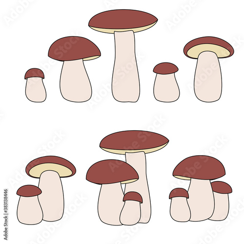 boletus. collection of icons. color vector.
