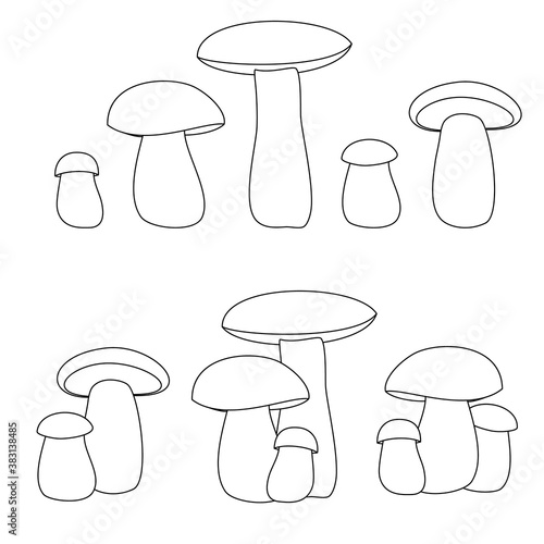 porcini, collection of vector icons.