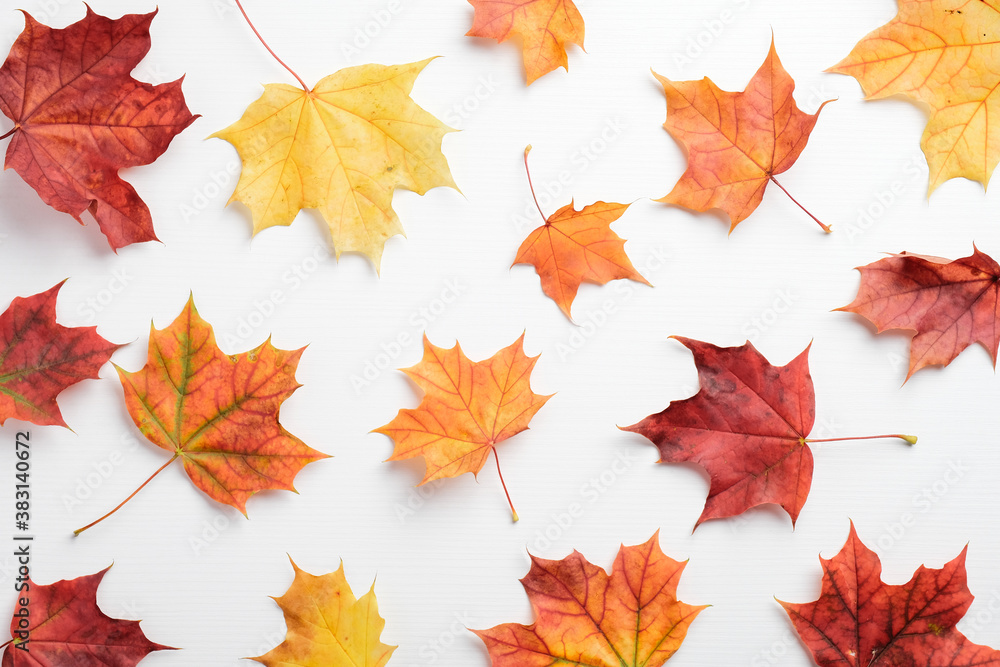Autumn background. Pattern of colorful maple leaves on white table. Autumn background. Pattern of colorful maple leaves on white table.