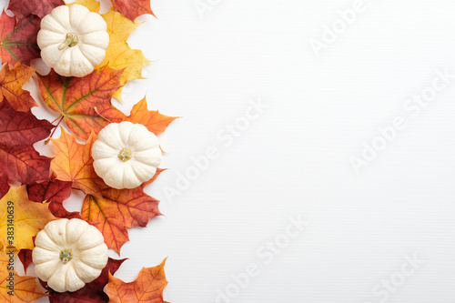 Autumn frame made of orange maple leaves and pumpkins on white background. Autumn fall  harvest  thanksgiving concept. Flat lay style composition  top view  copy space.