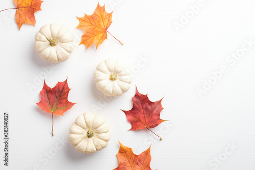 Minimalist style autumn composition. Dry maple leaves and pumpkins on white background. Flat lay  top view. Autumn fall  harvest  thanksgiving concept.