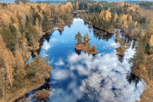 Forest lake with islands an...