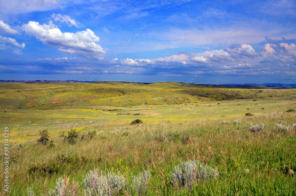 Fototapeta premium Montana - Little Bighorn Battleground