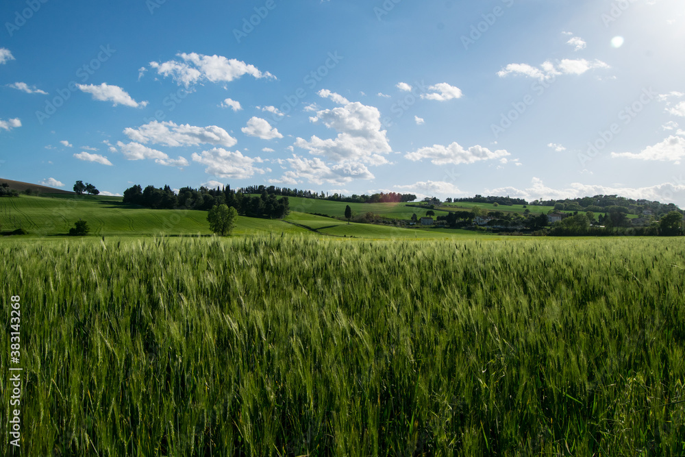 Landscapes of Marche , Italy: countryside. Landscapes of Marche , Italy: countryside.