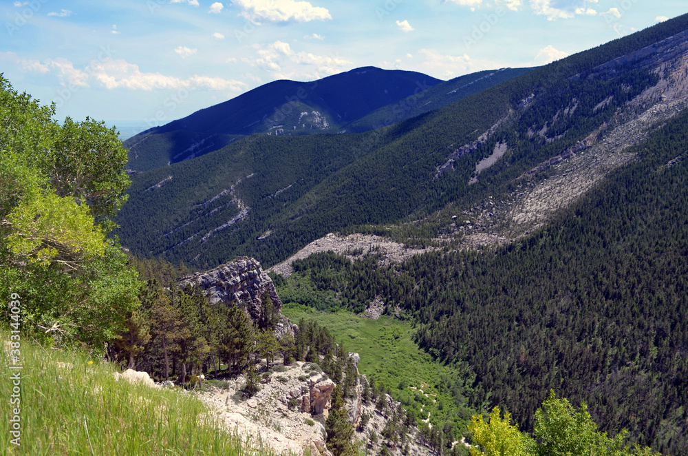 Naklejka premium Montana - Bighorn National Forest Canyon