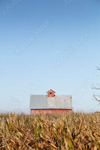 Old Red Barn Midwest Corn Field