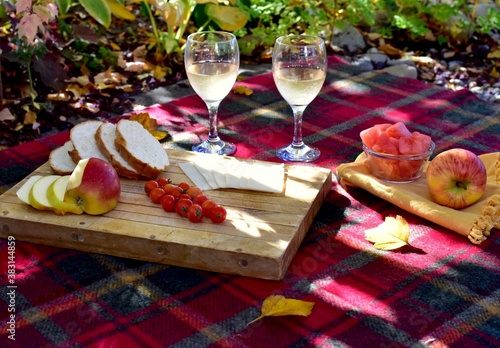 Warm autumn day with cozy outdoor picnic setting in gorgeous fall colour park with tasty gourmet food and drink