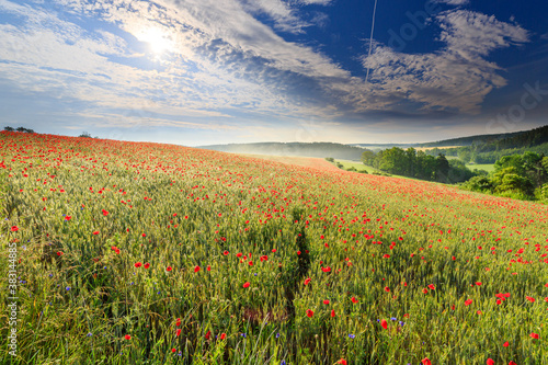 Photos Poppy Field in the heart of germany Thuringia, sun is coming up and gives the po
