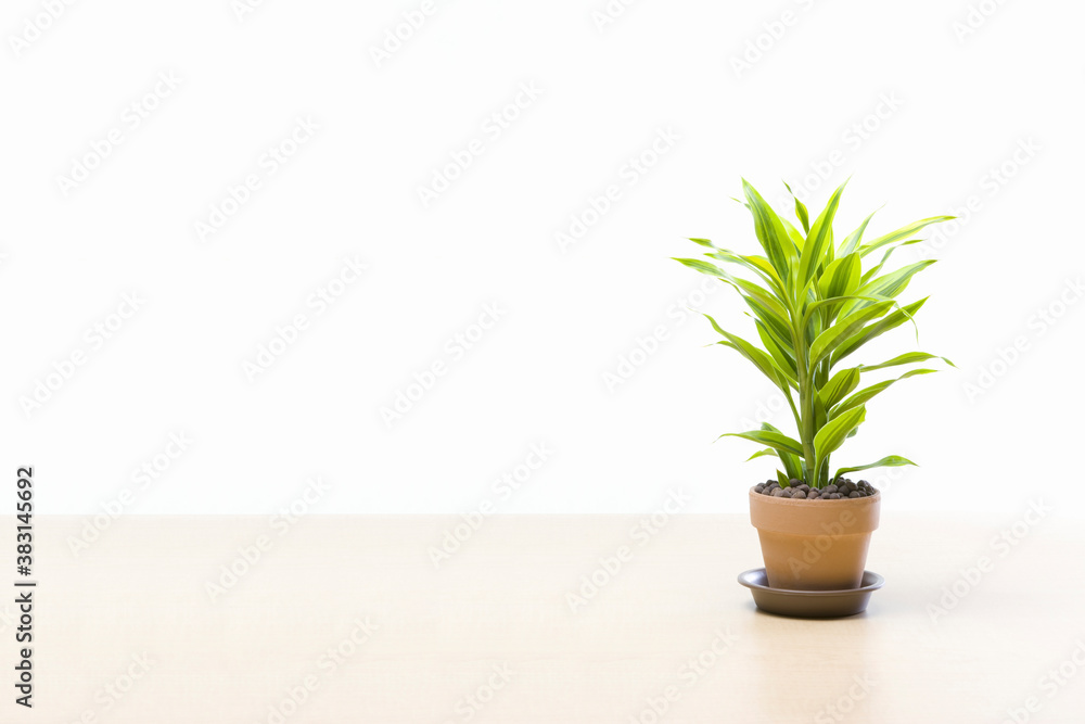 Obraz premium エコイメージ