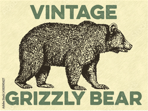 Vintage retro vector art of a silhouette bear