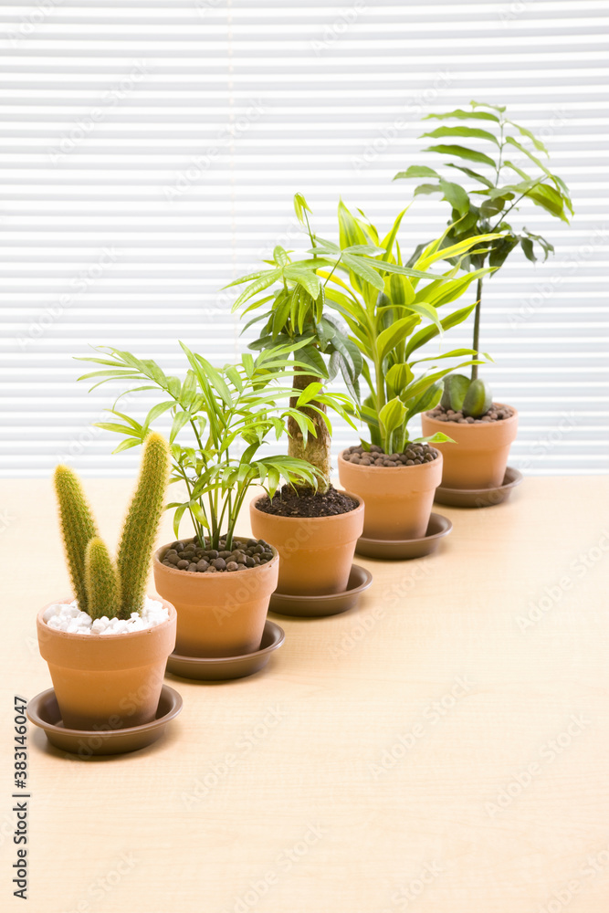 Obraz premium エコイメージ