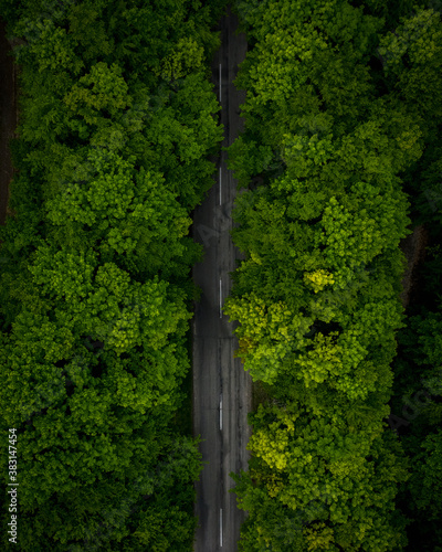 Visegrad, Hungary - Aerial top down view of road in a misty forest.