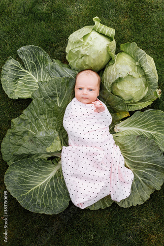 Newborn girl 3 months is lying in a green cabbage. Vegetables. happy childhood