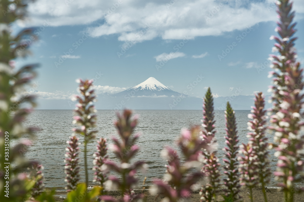 Naklejka premium Landscape of Osorno Volcano and Llanquihue Lake at Puerto Varas, Chile, South America.