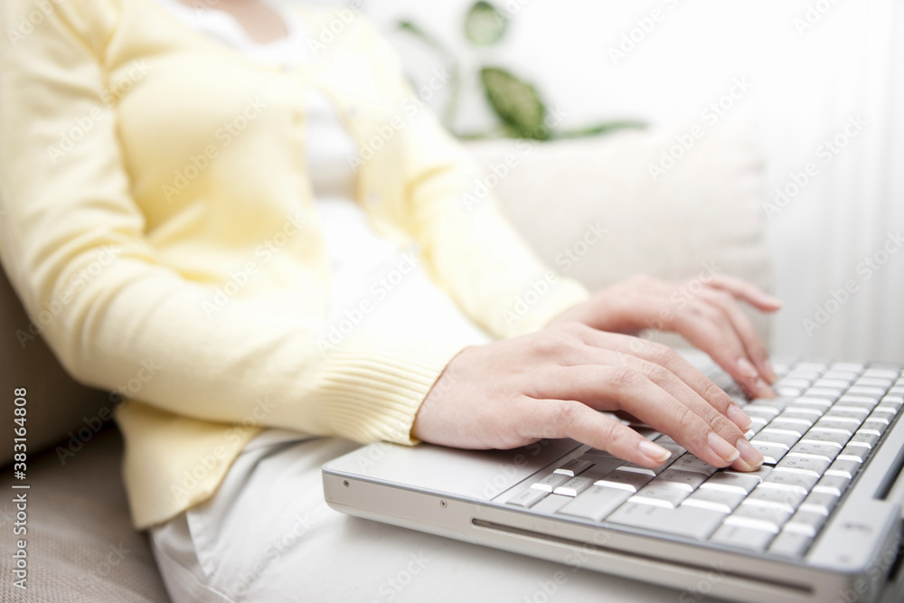 Naklejka premium パソコンをする女性