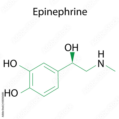 Epinephrine formula. Chemical molecule adrenaline. Molecular structure. Line vector. Stock image.