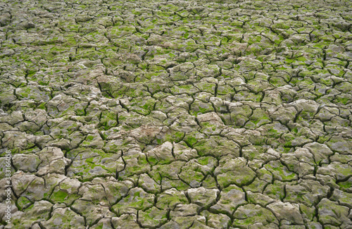 Dry parched river bed during drought season in Australia