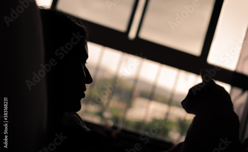 Cat and a woman looking to each other eyes, backlighted