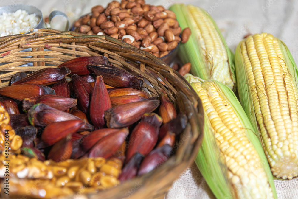Obraz premium Wicker basket with typical Brazilian foods like pine nuts, popcorn, brown sugar, peanuts and green corn