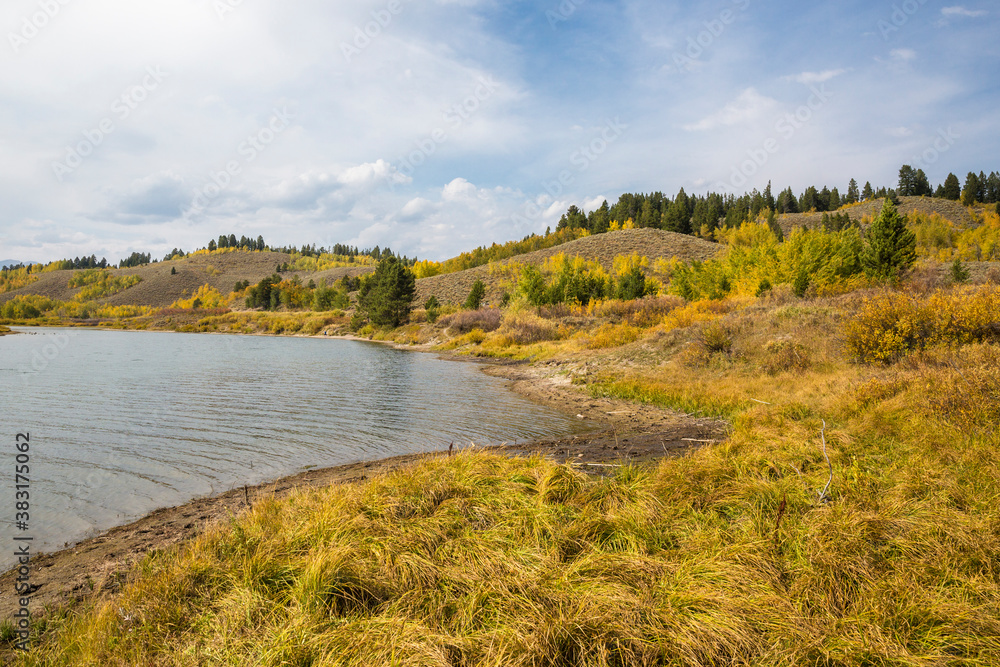 Landscape view of the fall colors in Grand Teton National Park (Wyoming).