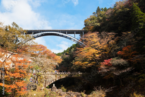 秋の高千穂峡「高千穂三代橋」
 photo