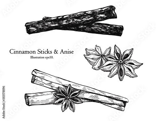illustration hand drawn sketch cinnamon sticks and anise ink style monochrome outline, for artwork, logo, packaging vector eps10.